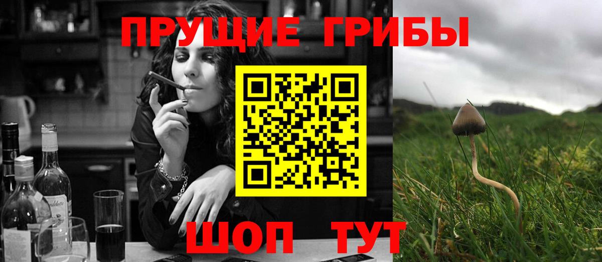 Галлюциногенные грибы GOLDEN TEACHER Калининград