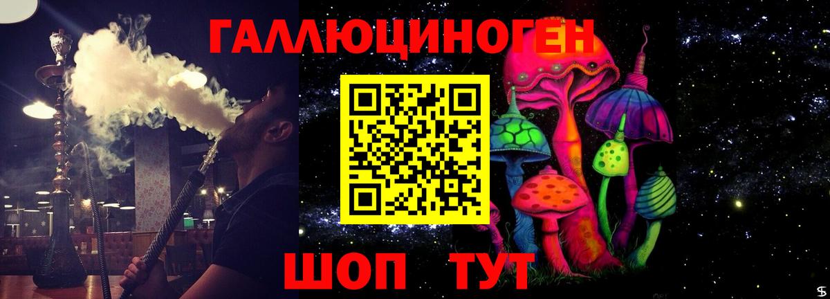 Калининград  Галлюциногенные грибы Psilocybe  Вход с VPN 